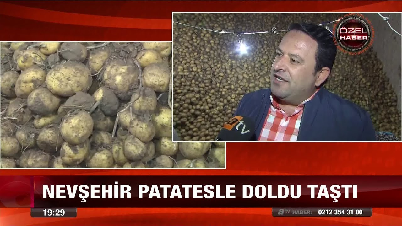350 bin ton patates, depoda bekliyor - 21 Mart 2018