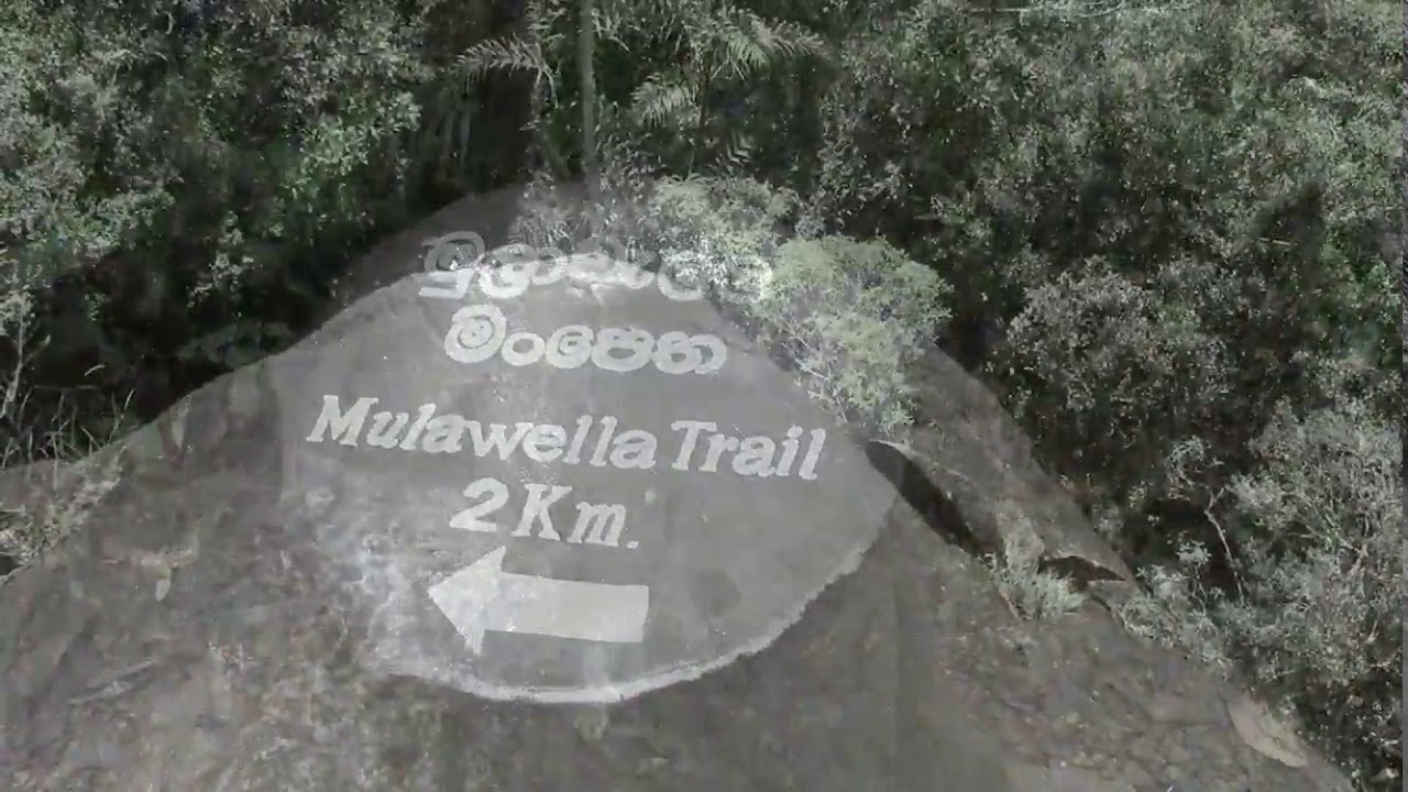 මුලාවැල්ල # Mulawella