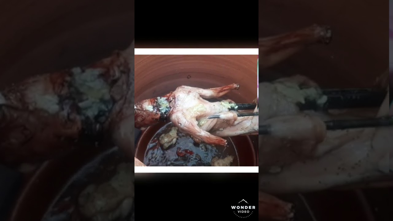 Funcionamiento del horno barbacoa con grill de Alfar Ramos.