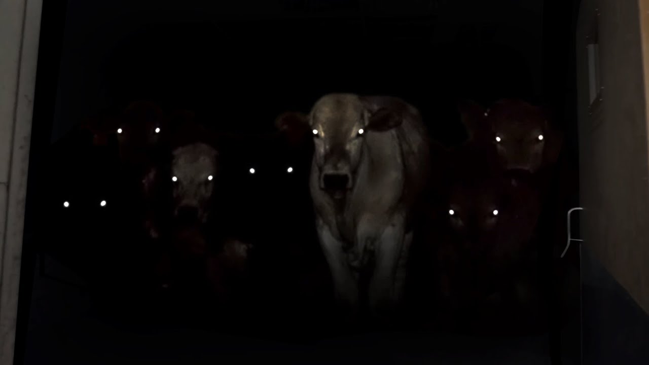 Happy Meat Farms HR Orientation Video