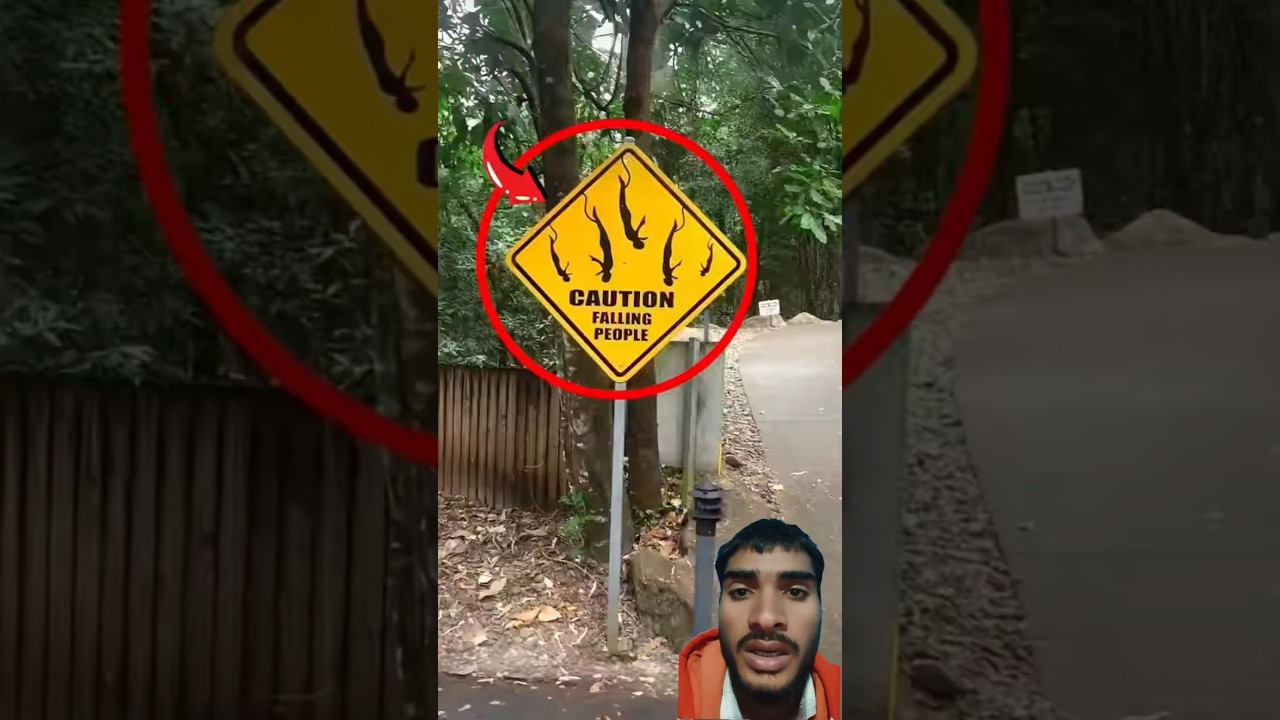 #funny