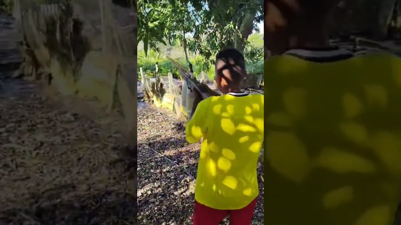 rifle de aire comprimido para cazar #rifle #cazar #yosoycreador #pyp