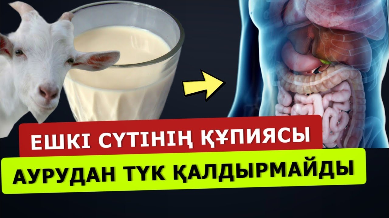 ЕШКІ СҮТІНІҢ ПАЙДАСЫ 99 ТҮРЛІ АУРУҒА ЕМ БОЛАДЫ... АҒЗАҢЫЗДЫ ЖАҢАРТАДЫ...