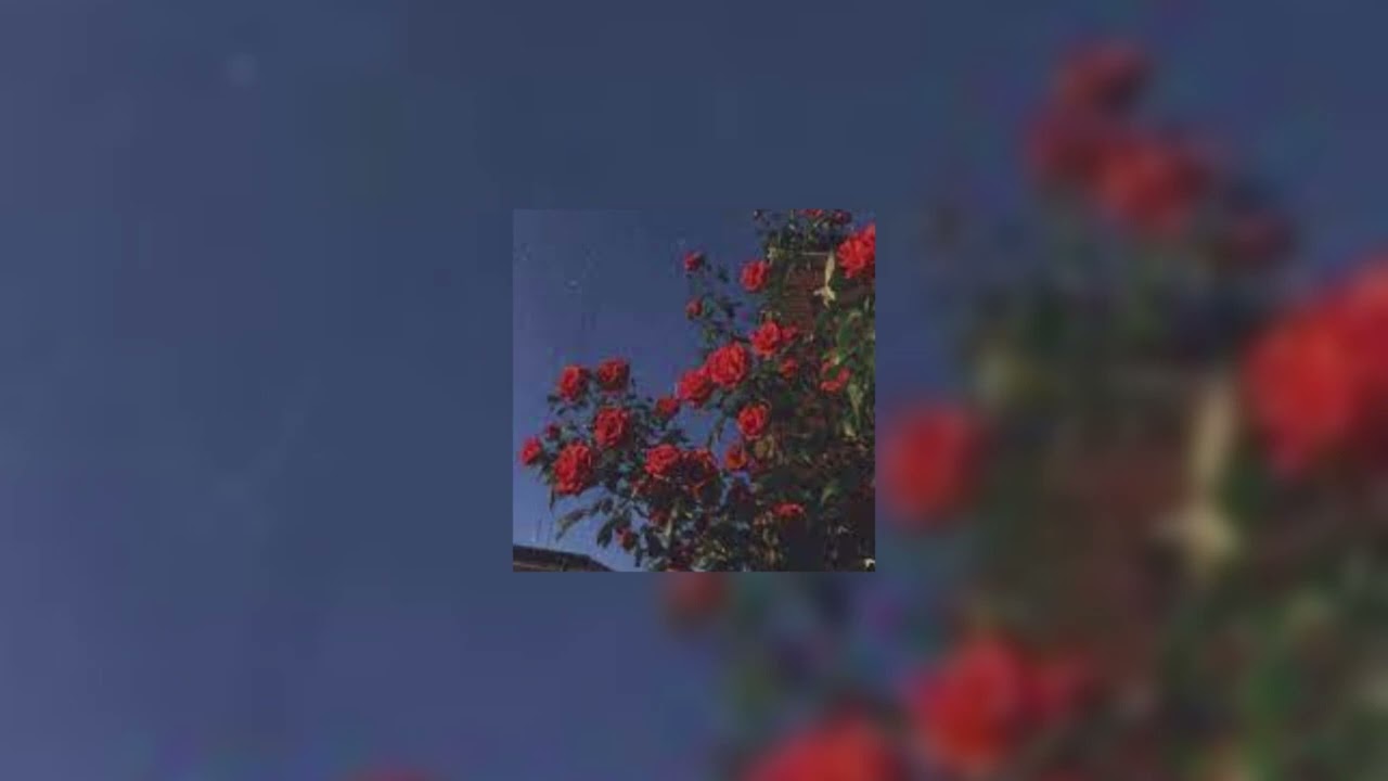 slow motion - sped up