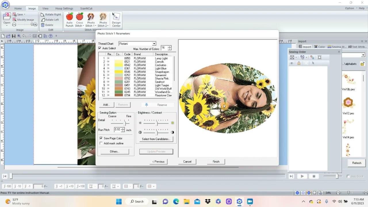 PE Design Photo Stitch