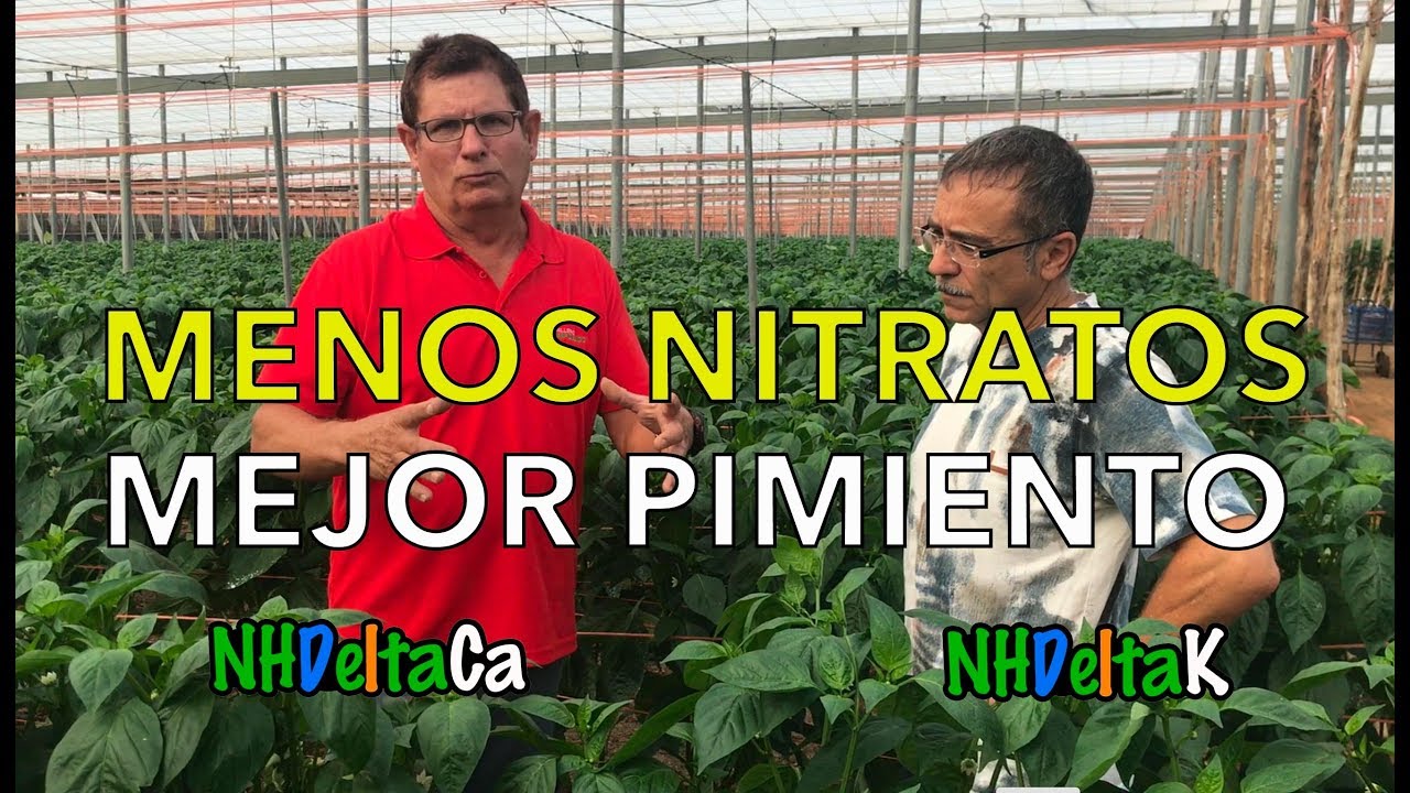 Mejor pimiento con NHDelta - Better Peppers with NHDelta