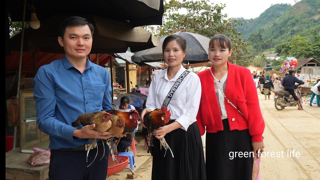 Accidentally met lover again in the highland market. Robert | Green forest life