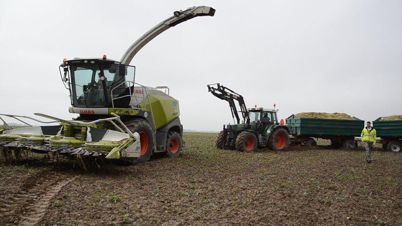 Koszenie Kukurydzy 2017 || 2x Claas jaguar 850 890 7x Fendt || wtopy ||