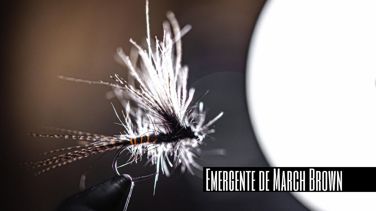 Montage de mouche : émergente de March Brown