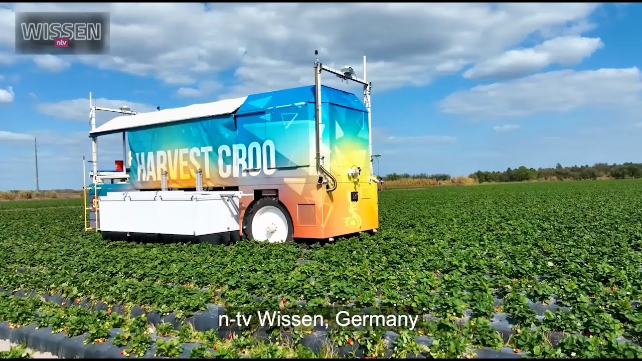 Autonomous Robotic Strawberry Harvesting - Harvest CROO, Tampa Florida -  video from TV Wissen