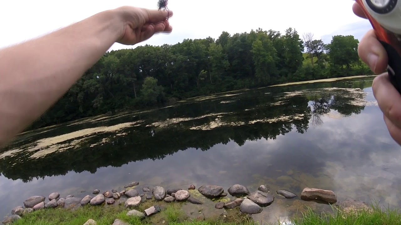 Testing Out Logix Baits
