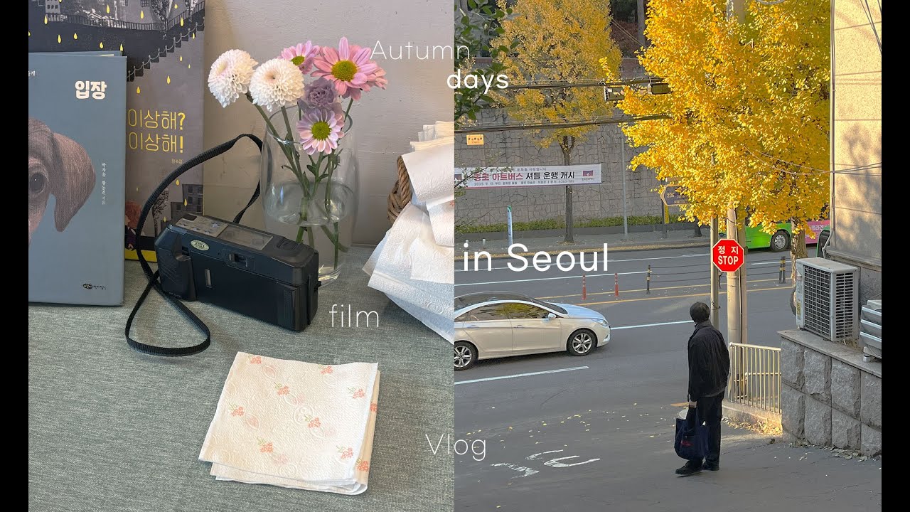 가을의 서촌과 부암동을 걷다 | 필카 감성 서울 여행 vlog