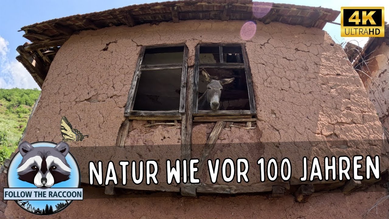 Serbien 🇷🇸 Teil 7 - Ein Land in dem es noch 🦋 Schmetterlinge gibt