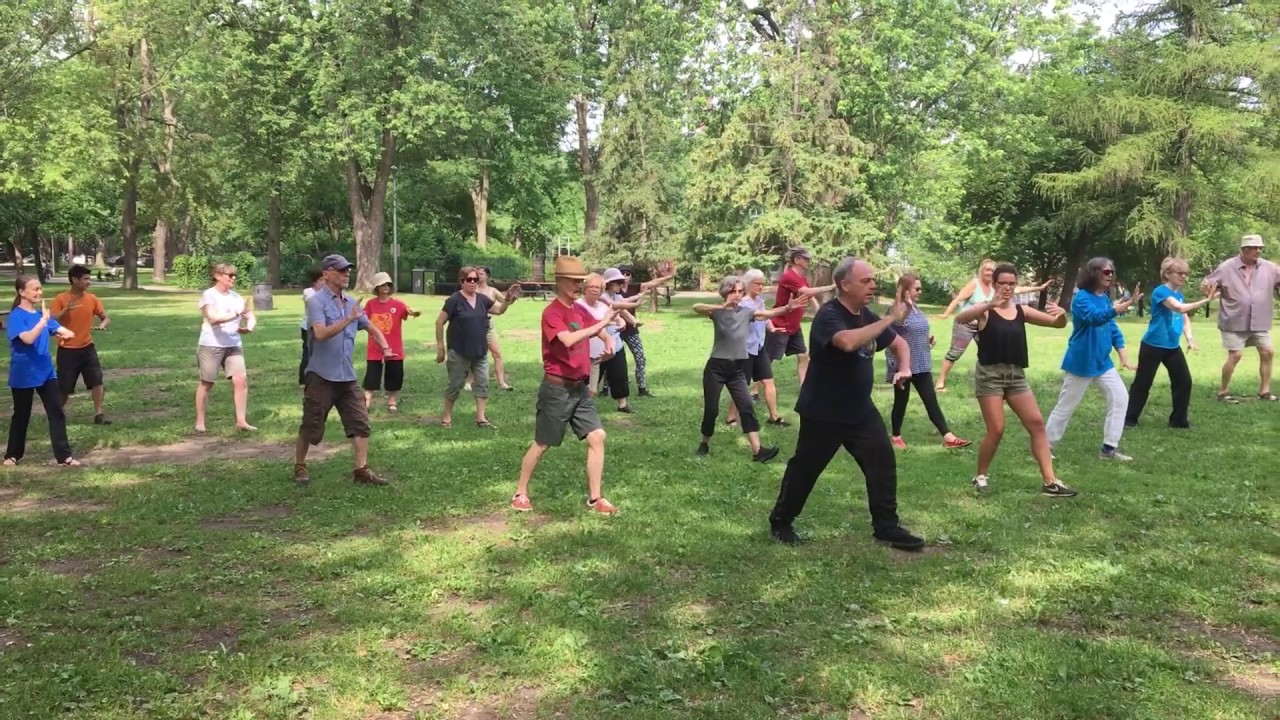 Venez pratiquer le Tai chi taoïste au parc La Fontaine !