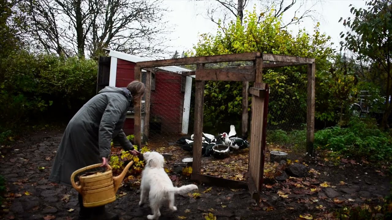 Een Realistische Herfstdag In Mijn Leven