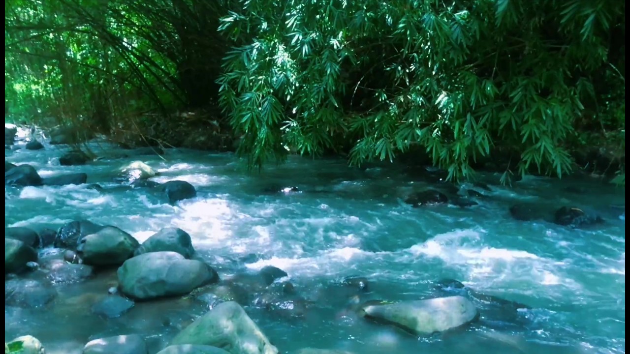 Soothing Water Flowing Ambience for Sleep and Deep Relaxation