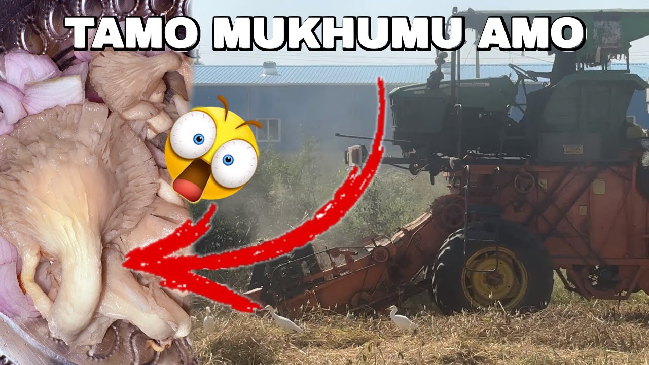 Tamo mukhumu amo sinidiya angle 