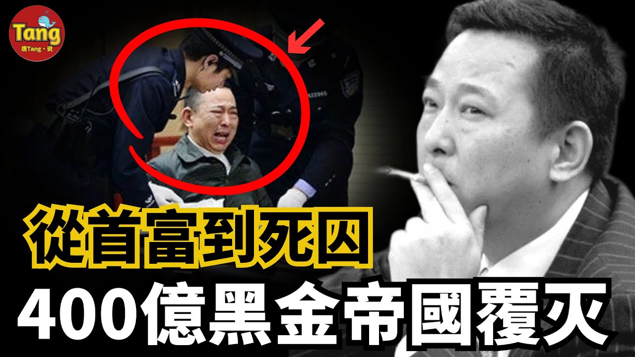 從首富到死囚，400億黑金帝國覆滅记！四川民營企業家劉漢，20年間構建起雄霸一方的“黑金帝國”資産高達400億元，誰是他的幕後保護伞？他又爲什麼被判處死刑？