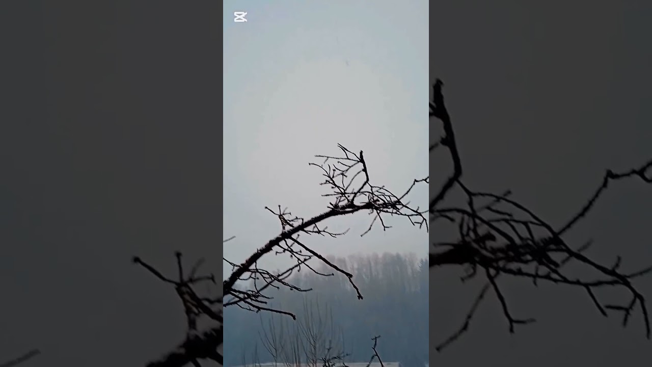 මෙහෙමත් හිම  වැටිල්ලක්❄️