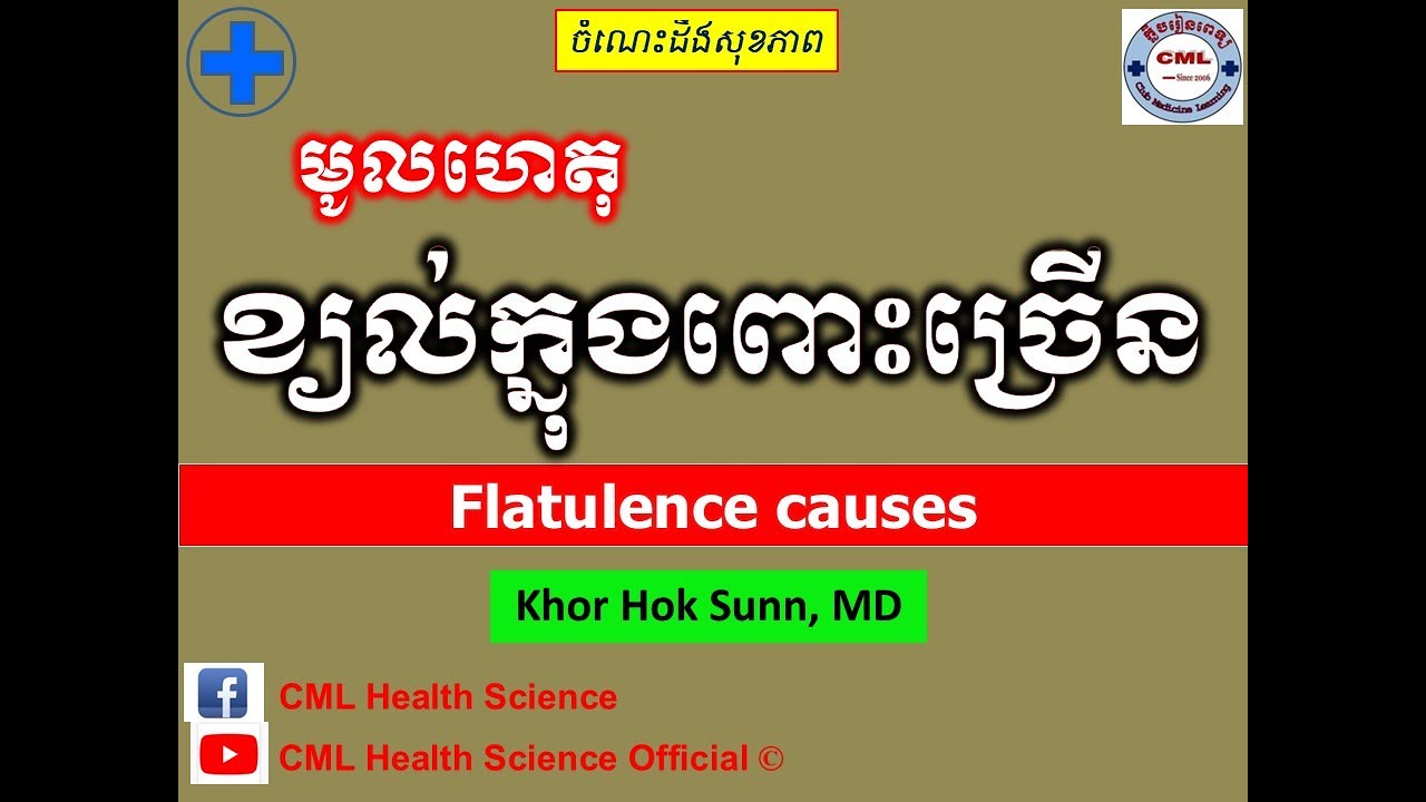 មូលហេតុ ខ្យល់ក្នុងពោះច្រើន l Flatulences causes l ហើមពោះ ll @cmlhealthscienceofficial