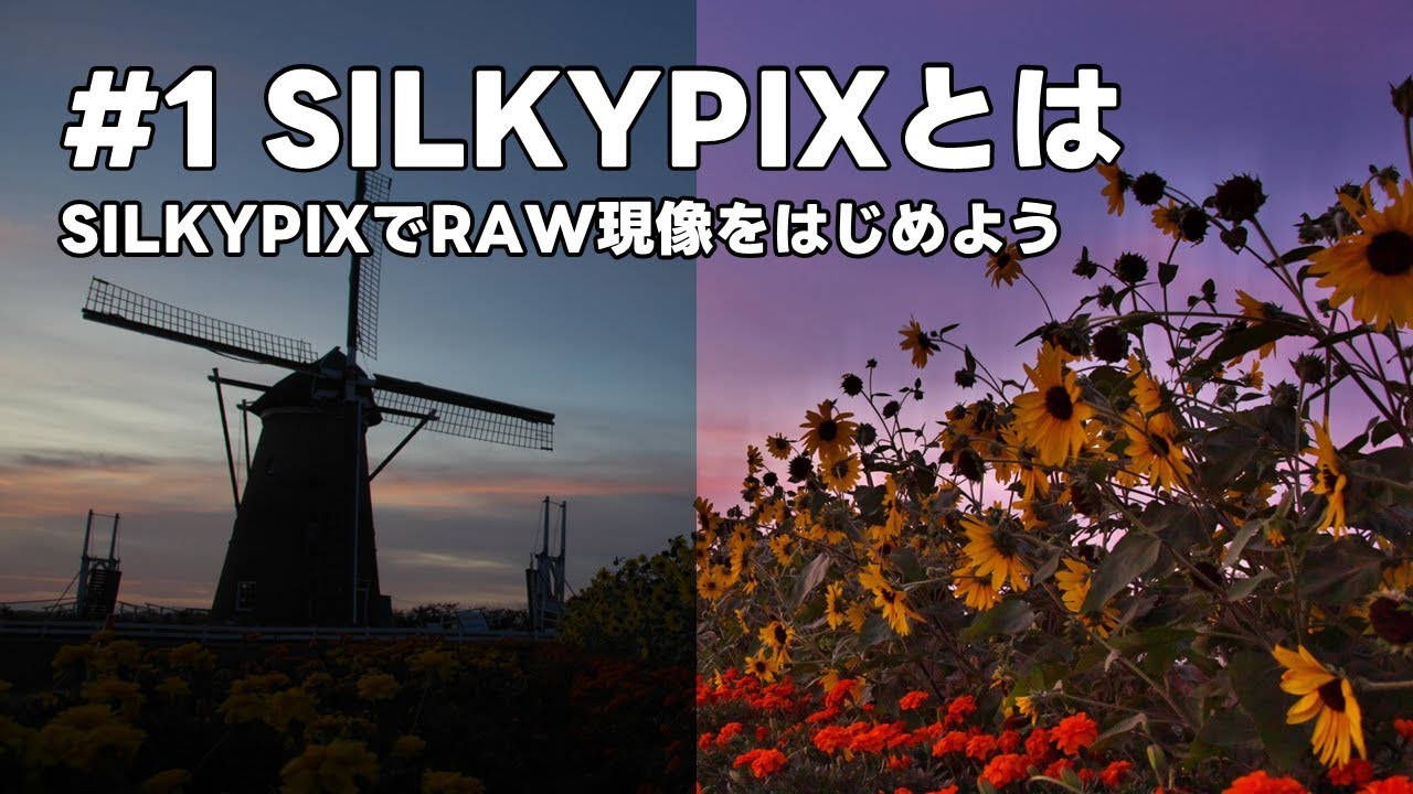 SILKYPIXでRAW現像をはじめよう #1 SILKYPIXとは