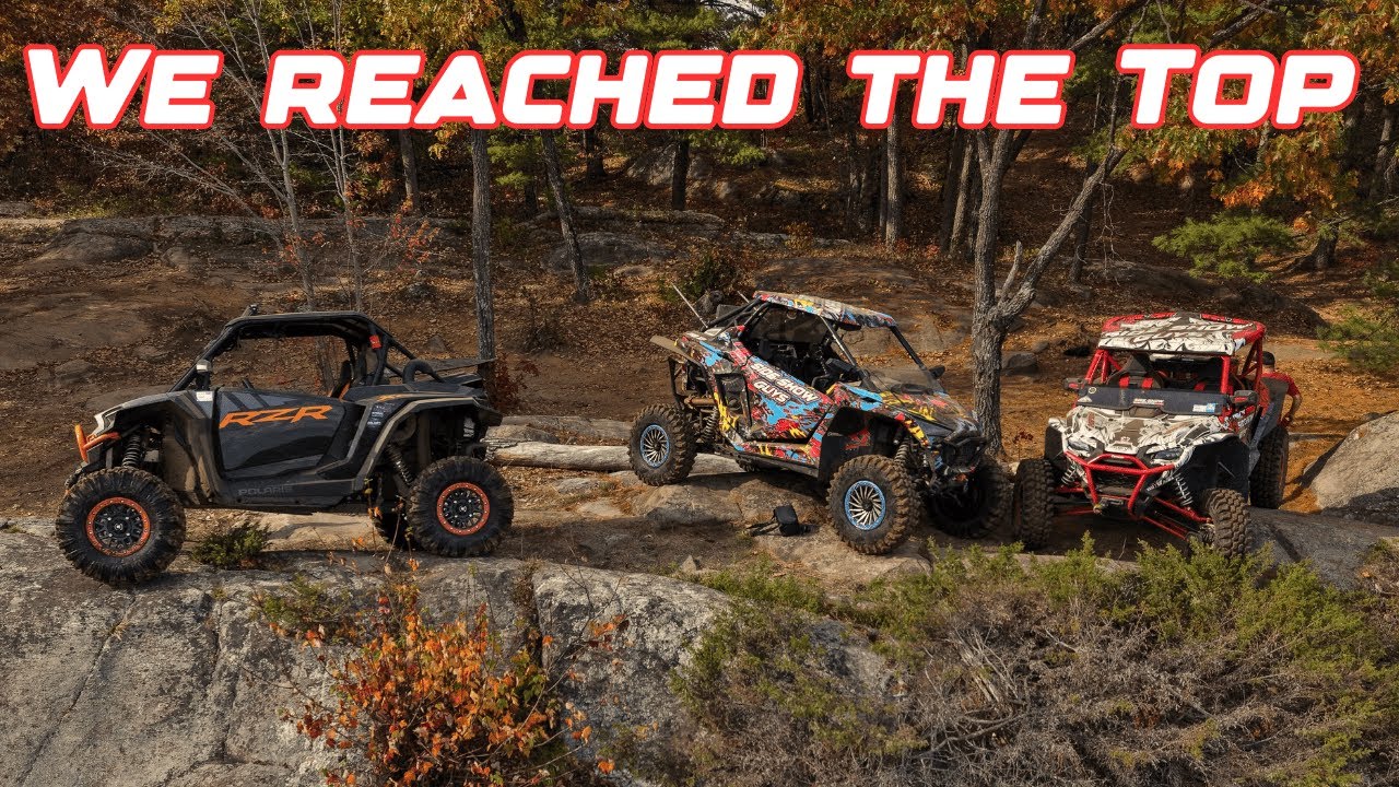 Веселье в Калибоги, часть 1