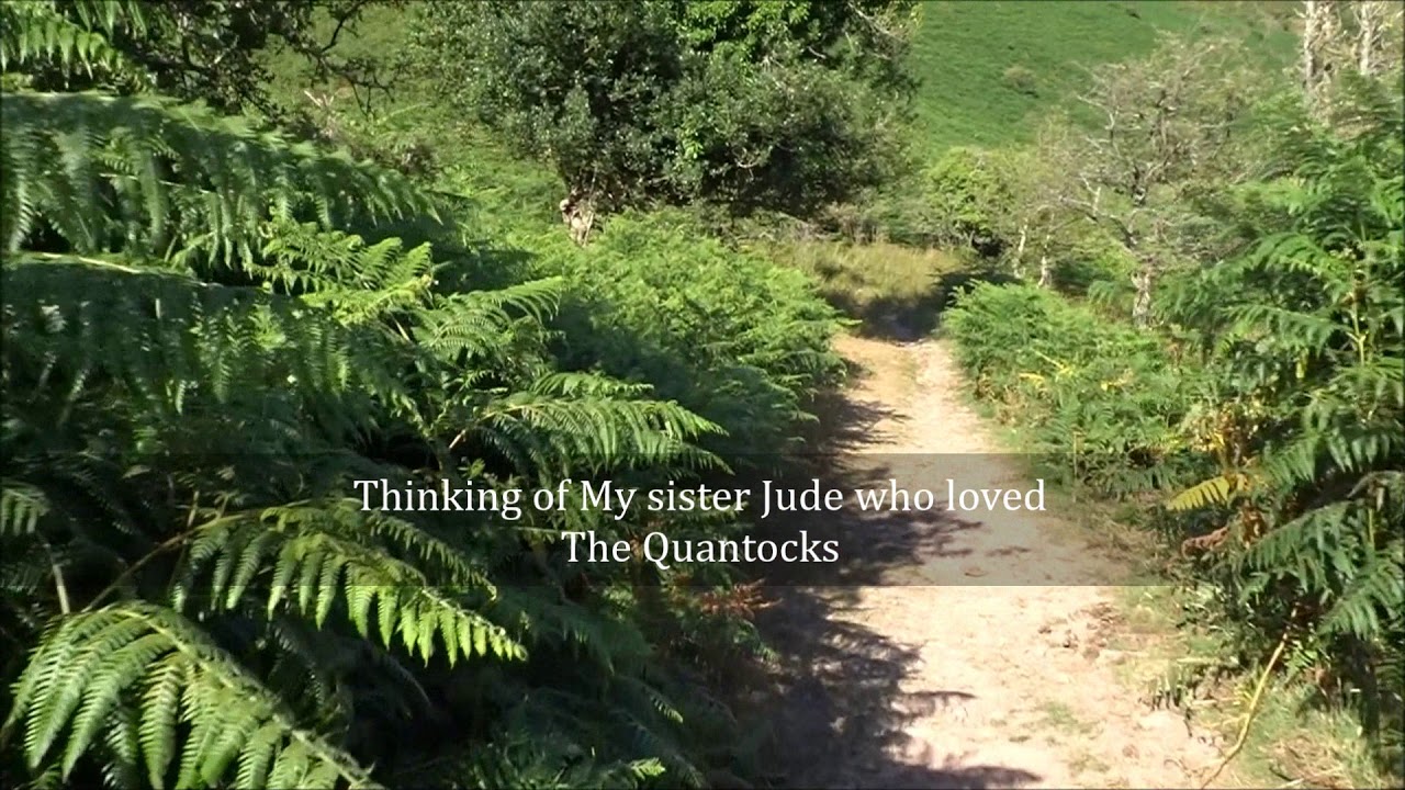 Holford & Smith's Combe Circular Walk, Part XIV, ' Shepherd's Combe' by Sheila, July 25th 2018