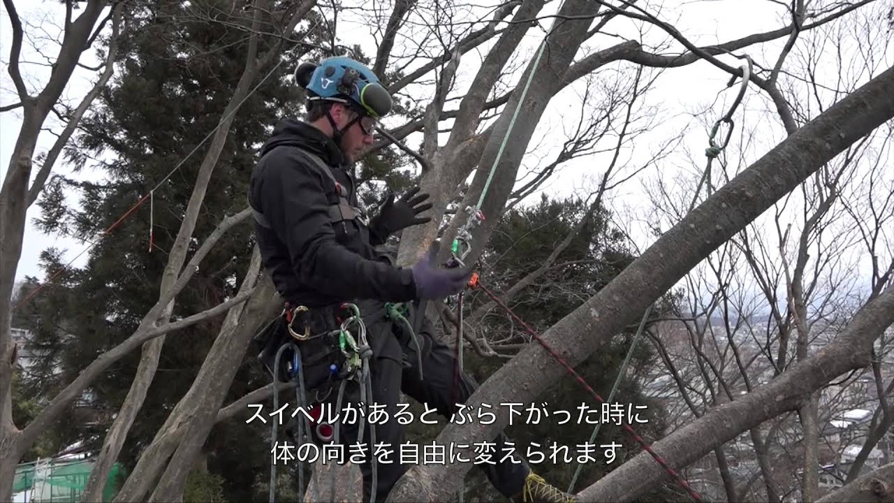 Treeverse Explanation ツリーバースの説明