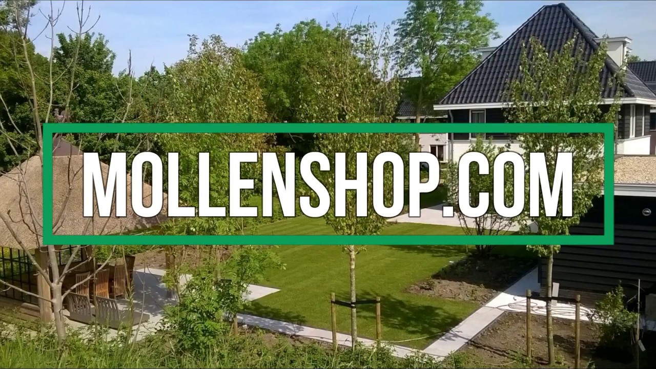 Graszoden leggen in combinatie met mollengaas of mollennetten leggen.