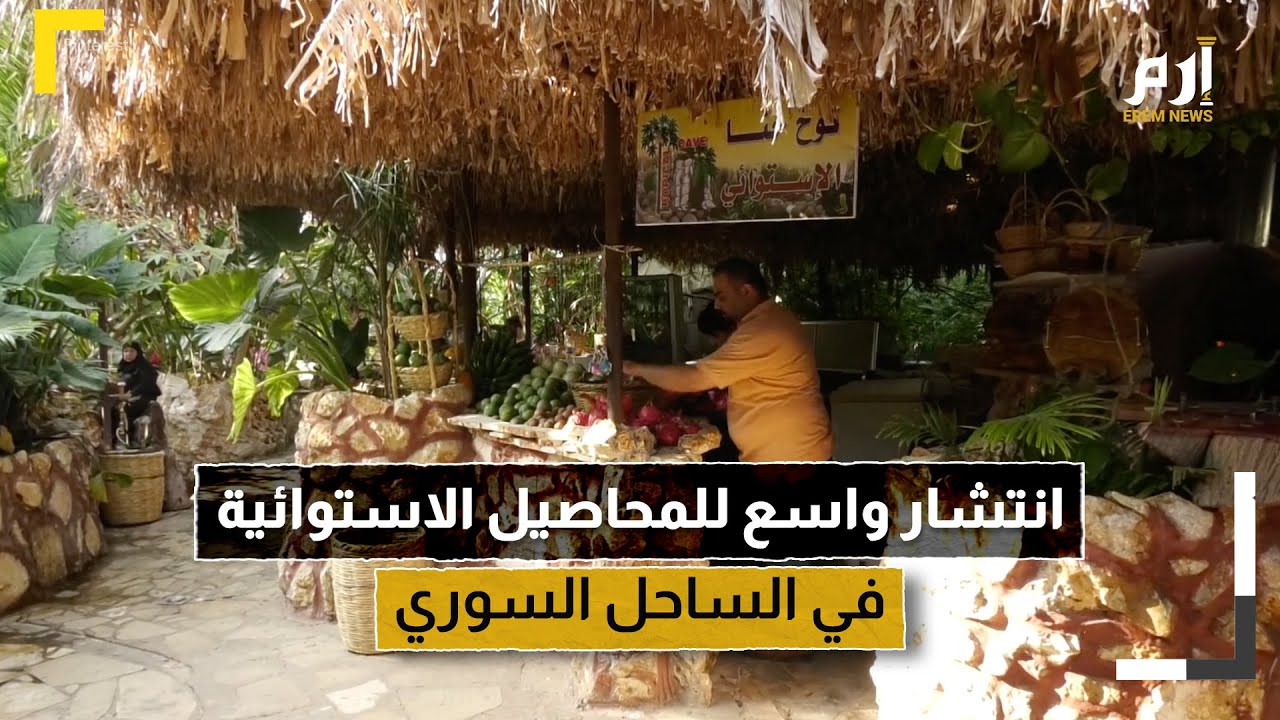 المحاصيل الاستوائية تحل محل الزراعات التقليدية في الساحل السوري