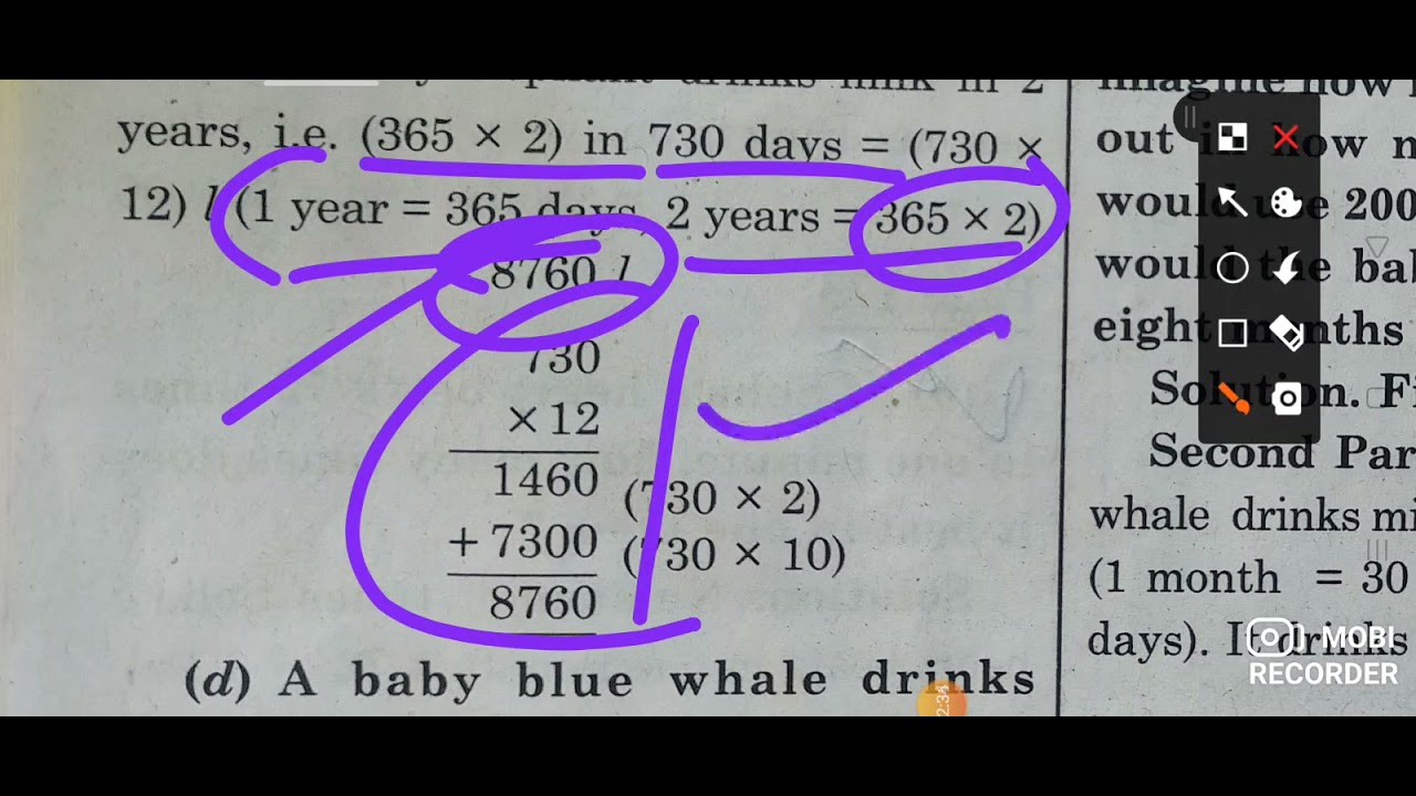 baby blue whale drinks around 200 litre of milk in 1 day/ imagine how much milk that is ?/ elephant