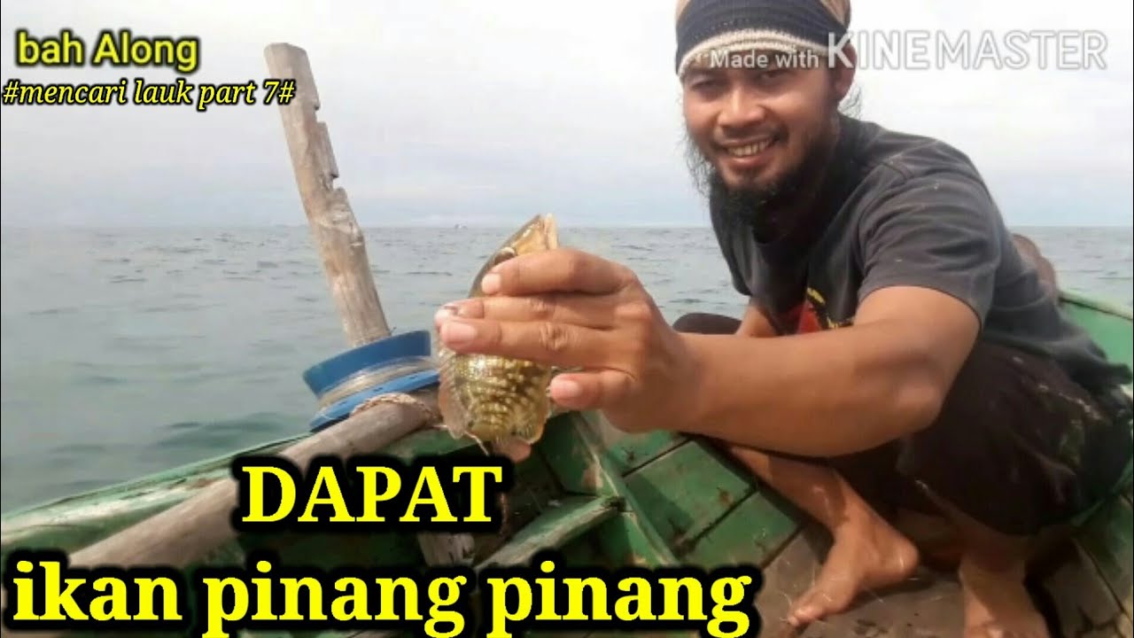 #mencari lauk part7#mancing ikan selincing dan ikan pinang pinang