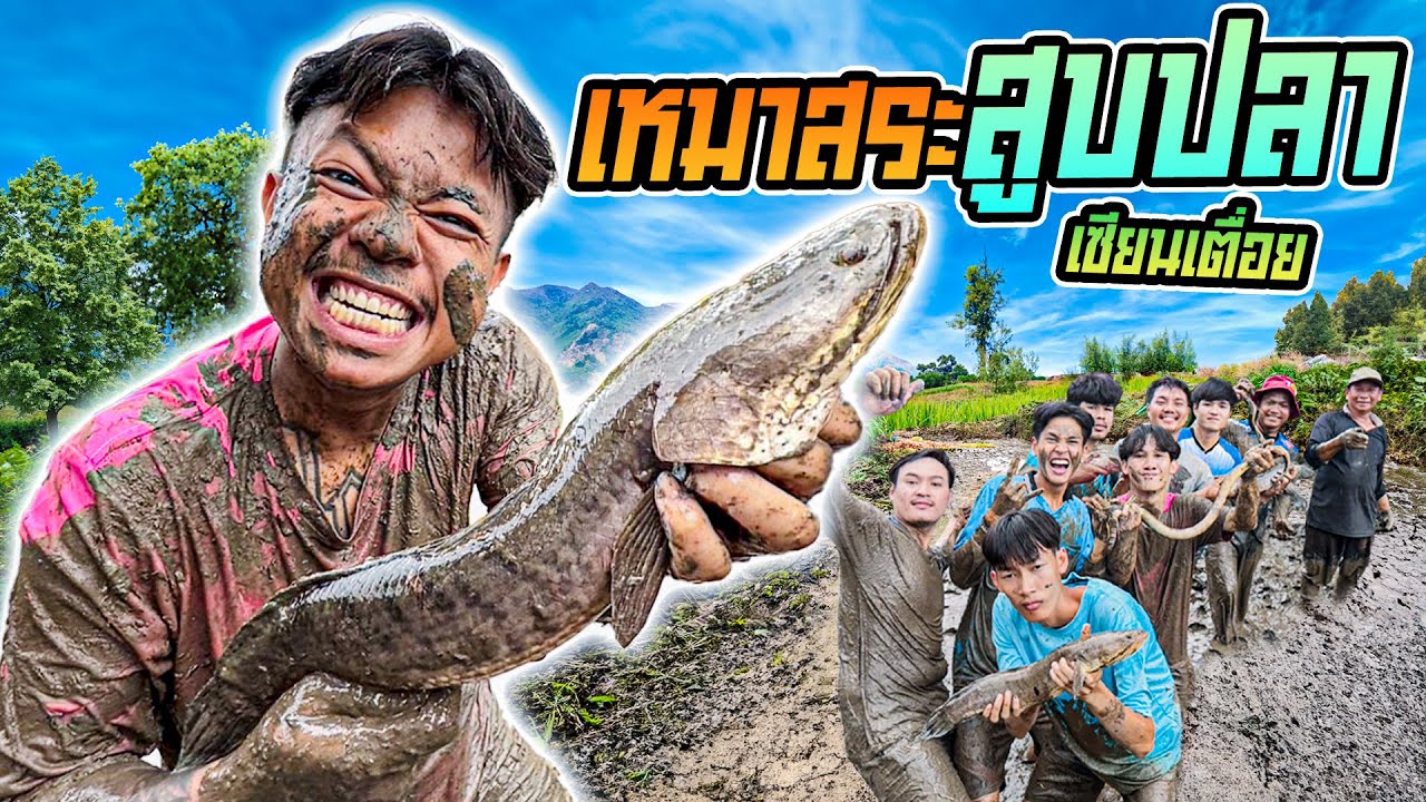 เซียนเตื่อย เหมาสระสูบปลาอีกแล้ว