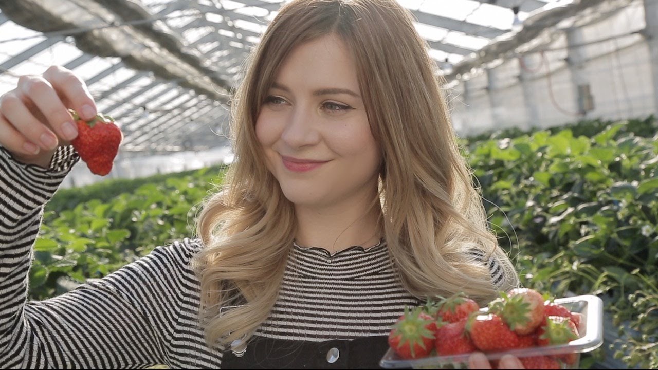 A Day on a Japanese Strawberry Farm 🍓