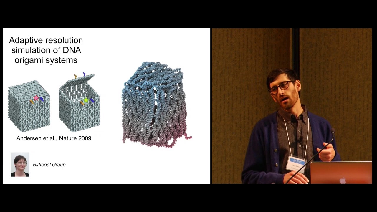 Molecular Dynamics of DNA Origami Nanostructures -- Christopher Maffeo