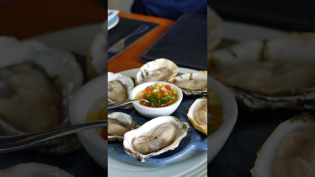 Melhores Ostras do Brasil?