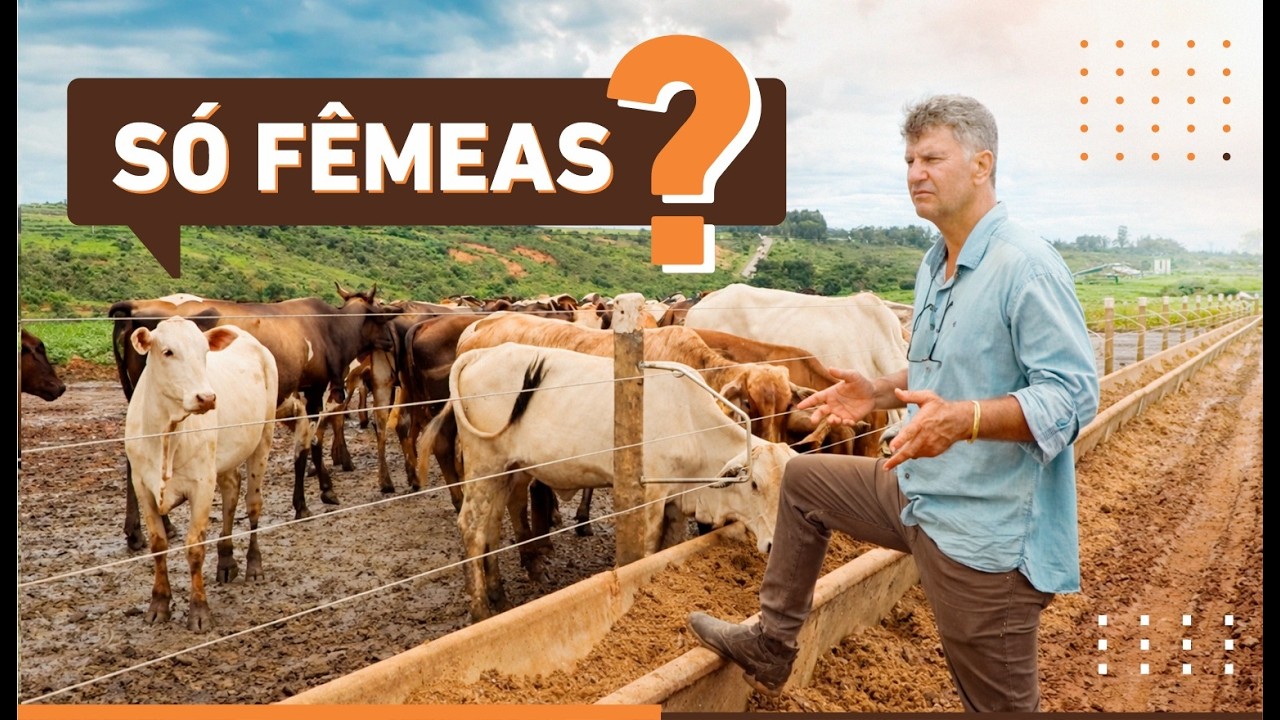 Minha visão do mercado me fez mudar toda a estratégia da fazenda
