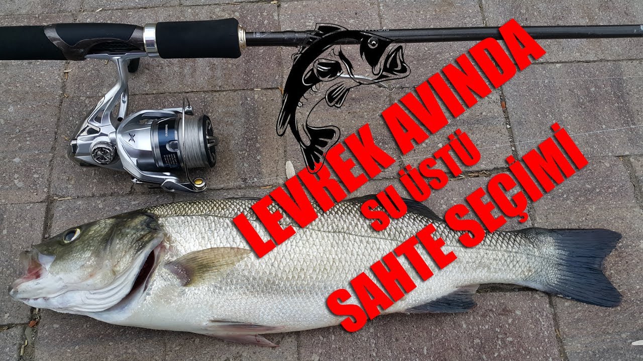 Levrek Avında Su Üstü Sahte Seçimi / İzlemeden Seçim Yapma / Sea Bass Top Water Lures