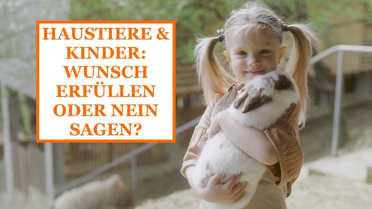 HAUSTIERE & KINDER: WUNSCH ERFÜLLEN ODER NEIN SAGEN?