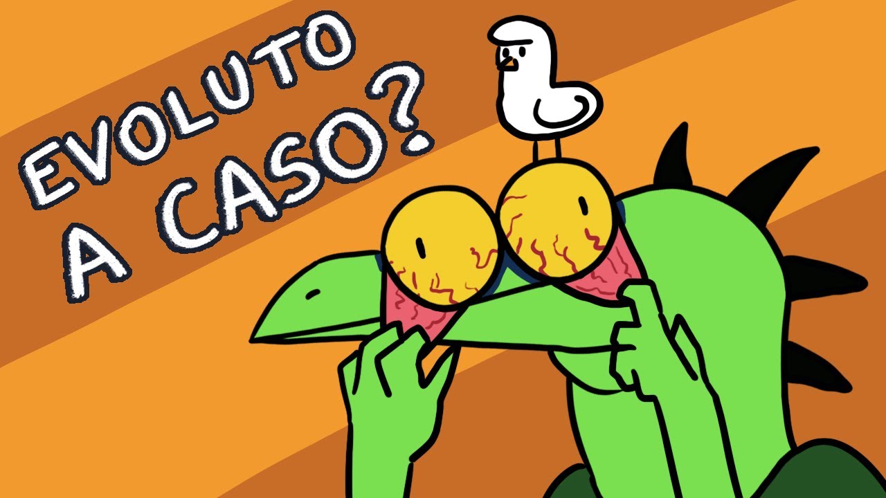 L'evoluzione &egrave; CASUALE?