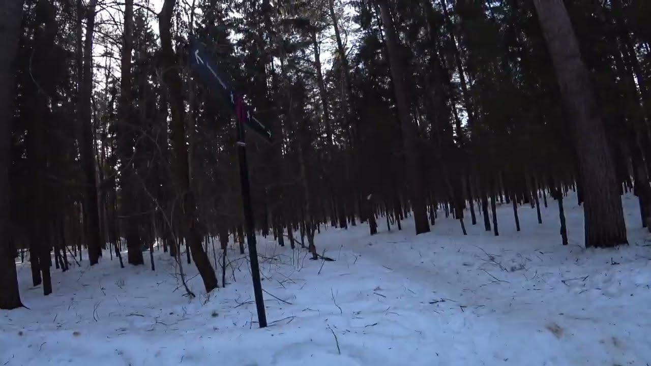 ФИЗРА НА ЛЫЖАХ В ШКОЛЕ - ДА ЭТО БЫЛО ЖЕСТКО!