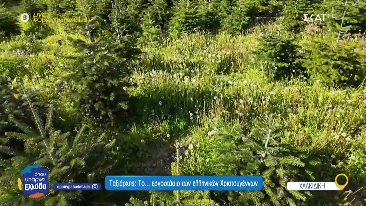 Ταξιάρχης: Το... εργοστάσιο των ελληνικών Χριστουγέννων | Όπου Υπάρχει Ελλάδα | 22/05/2025