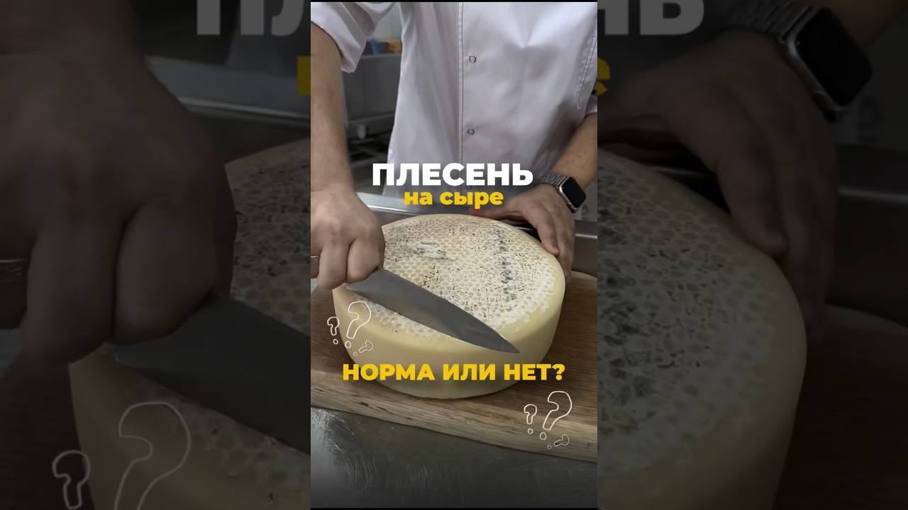 Плесень на сыре 🧀 Норма или нет? #shorts #сыроделие #сыр #оборудования