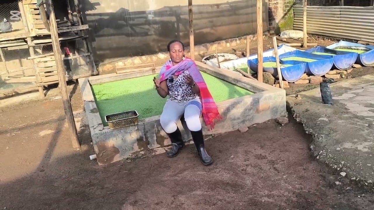 OMUDDO OGWA AZOLA OBADDE OGUMANYI?