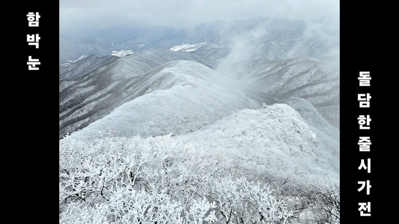 함박눈