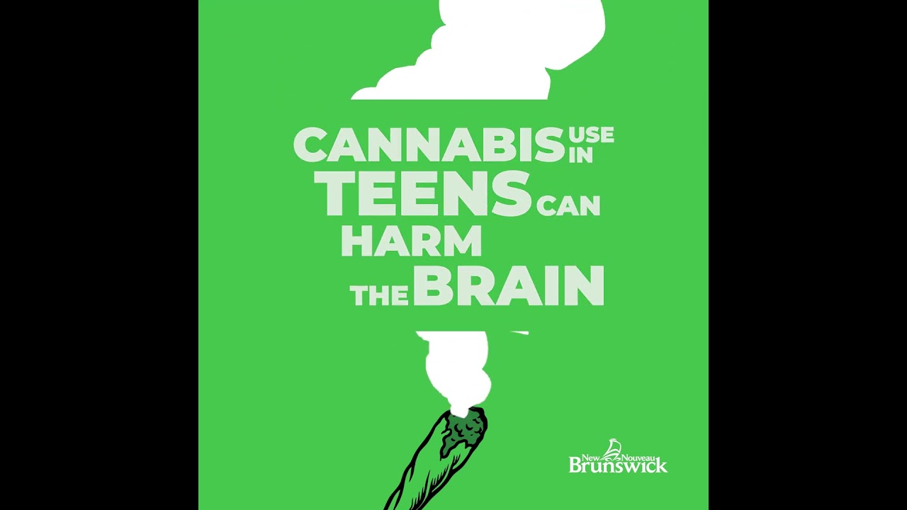 Meta 6sVideo Cannabis 1080x1080 EN