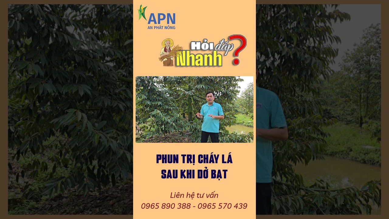 APN - Phun xịt ch&aacute;y l&aacute; sau khi dở bạt #shorts #anphatnong