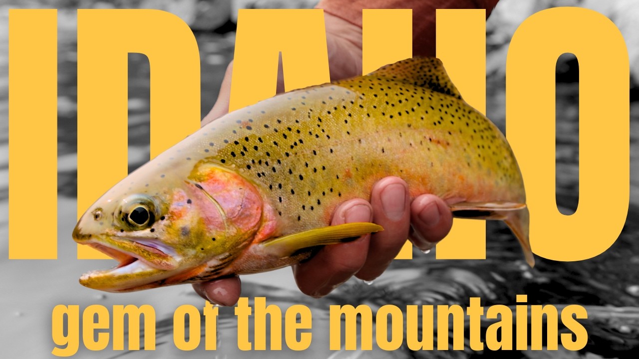 Finding Wilderness Where the Roads End – Fly Fishing Idaho’s Wild Heart