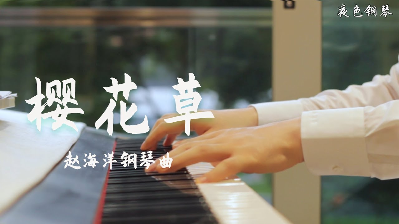 Piano Music 钢琴演奏「樱花草」- 恋人手中樱花草 偷偷的 在思念那是我們相愛的味道 | 夜色钢琴曲 Yese Piano【趙海洋钢琴曲】