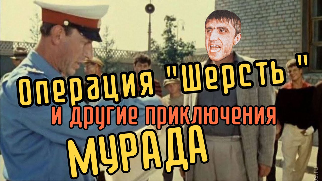 Операция &laquo;ШЕРСТЬ&raquo; и другие приключения МУРАДА